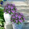 4Bundles Artificial Impatiens Flowers for Outdoors Purple Faux Silk Flowers Outdoor Artificial Impatiens Bush Bouquet Fake Plants for Patio Lawn Garden Hanging Basket Porch Decor